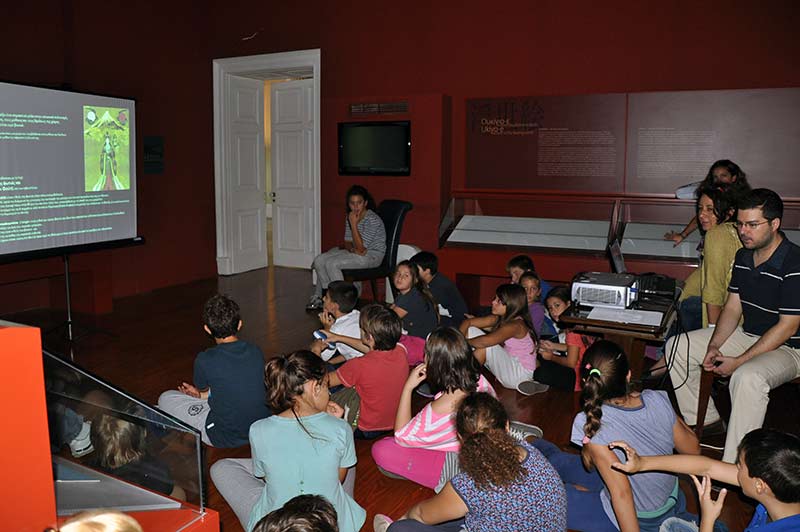 Educational Programs | Museum of Asian Art Corfu